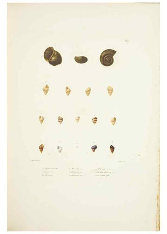 Reproducción/Reproduction 9006953384: Voyage autour du monde :. Paris :Pillet, Aine, Imprimerie royale,1824.