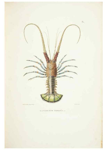 Reproducción/Reproduction 9005786171: Voyage autour du monde :. Paris :Pillet, Aine, Imprimerie royale,1824.