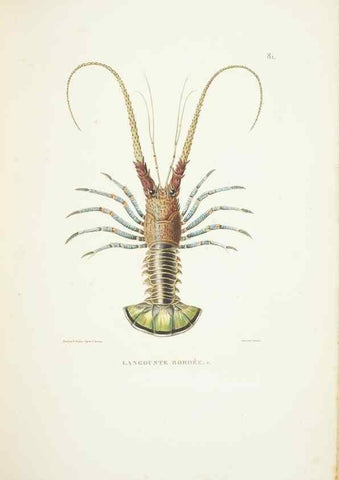 Reproducción/Reproduction 9005786171: Voyage autour du monde :. Paris :Pillet, Aine, Imprimerie royale,1824.