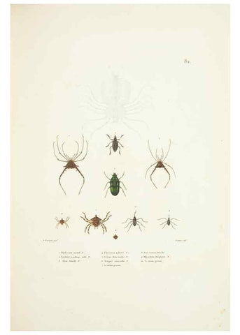 Reproducción/Reproduction 9005787381: Voyage autour du monde :. Paris :Pillet, Aine, Imprimerie royale,1824.