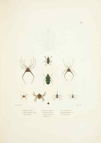 Reproducción/Reproduction 9005787381: Voyage autour du monde :. Paris :Pillet, Aine, Imprimerie royale,1824.