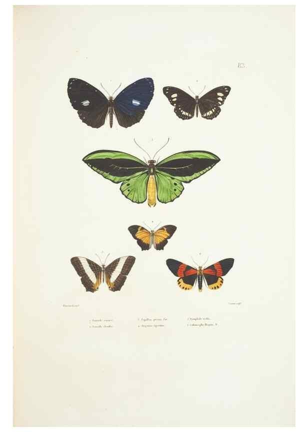 Reproducción/Reproduction 9005788705: Voyage autour du monde :. Paris :Pillet, Aine, Imprimerie royale,1824.
