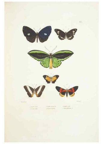 Reproducción/Reproduction 9005788705: Voyage autour du monde :. Paris :Pillet, Aine, Imprimerie royale,1824.