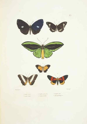 Reproducción/Reproduction 9005788705: Voyage autour du monde :. Paris :Pillet, Aine, Imprimerie royale,1824.