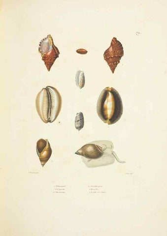 Reproducción/Reproduction 9005778449: Voyage autour du monde :. Paris :Pillet, Aine, Imprimerie royale,1824.