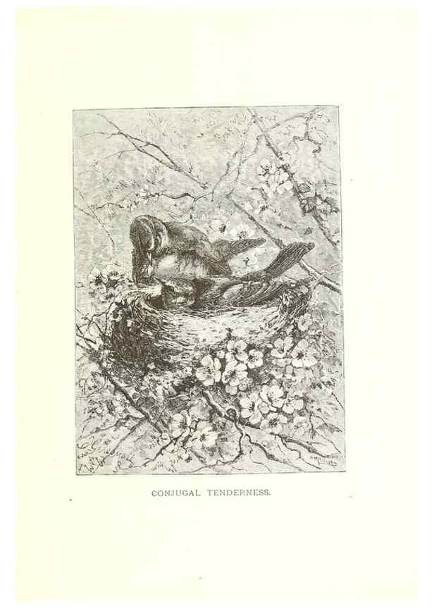 Reproducción/Reproduction 8968813237: Our living world;. New York :S. Hess,[1885]