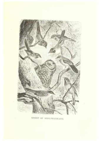 Reproducción/Reproduction 8969995844: Our living world;. New York :S. Hess,[1885]