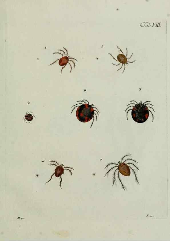 Reproducción/Reproduction 9006629500: Hydrachnae,. Lipsiae,apud Siegfried Lebrecht Crusium,1781.