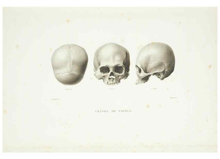 Reproducción/Reproduction 9006874340: Voyage autour du monde :. Paris :Pillet, Aine, Imprimerie royale,1824.