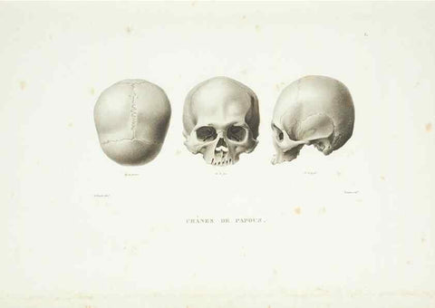 Reproducción/Reproduction 9006874340: Voyage autour du monde :. Paris :Pillet, Aine, Imprimerie royale,1824.