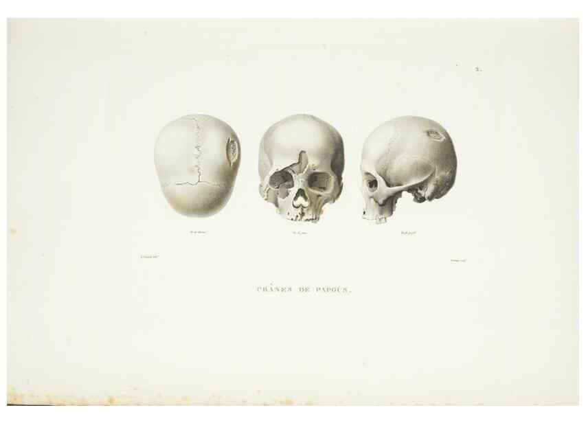 Reproducción/Reproduction 9006875620: Voyage autour du monde :. Paris :Pillet, Aine, Imprimerie royale,1824.