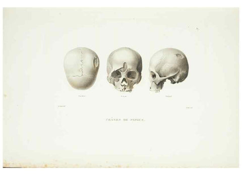 Reproducción/Reproduction 9006875620: Voyage autour du monde :. Paris :Pillet, Aine, Imprimerie royale,1824.