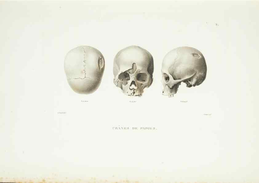 Reproducción/Reproduction 9006875620: Voyage autour du monde :. Paris :Pillet, Aine, Imprimerie royale,1824.