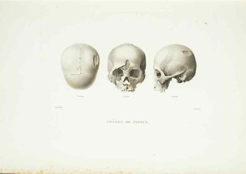 Reproducción/Reproduction 9006875620: Voyage autour du monde :. Paris :Pillet, Aine, Imprimerie royale,1824.
