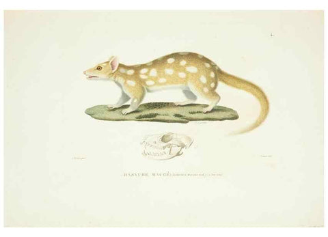 Reproducción/Reproduction 9005697873: Voyage autour du monde :. Paris :Pillet, Aine, Imprimerie royale,1824.
