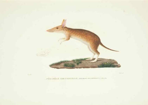 Reproducción/Reproduction 9006880114: Voyage autour du monde :. Paris :Pillet, Aine, Imprimerie royale,1824.