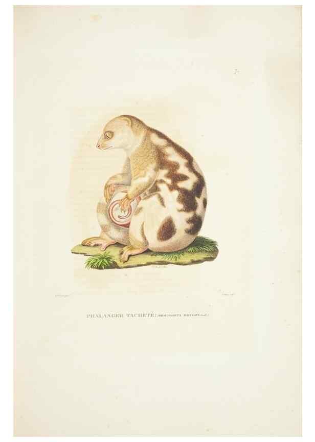 Reproducción/Reproduction 9006883026: Voyage autour du monde :. Paris :Pillet, Aine, Imprimerie royale,1824.
