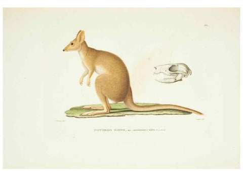 Reproducción/Reproduction 9005706045: Voyage autour du monde :. Paris :Pillet, Aine, Imprimerie royale,1824.