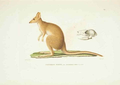 Reproducción/Reproduction 9005706045: Voyage autour du monde :. Paris :Pillet, Aine, Imprimerie royale,1824.
