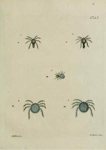 Reproducción/Reproduction 9006621154: Hydrachnae,. Lipsiae,apud Siegfried Lebrecht Crusium,1781.