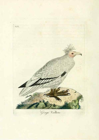 Reproducción/Reproduction 8744572122: A general history of birds /. Winchester [England] :Printed by Jacob and Johnson, for the author : sold in London by G. and W.B. Whittaker ... [and 3 others],1821-1828.