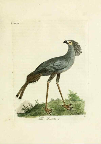 Reproducción/Reproduction 8744575050: A general history of birds /. Winchester [England] :Printed by Jacob and Johnson, for the author : sold in London by G. and W.B. Whittaker ... [and 3 others],1821-1828.