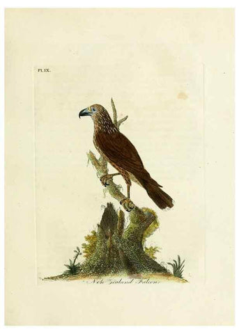 Reproducción/Reproduction 8744577348: A general history of birds /. Winchester [England] :Printed by Jacob and Johnson, for the author : sold in London by G. and W.B. Whittaker ... [and 3 others],1821-1828.