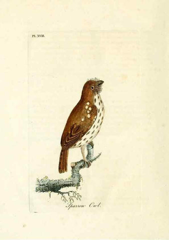 Reproducción/Reproduction 8744582948: A general history of birds /. Winchester [England] :Printed by Jacob and Johnson, for the author : sold in London by G. and W.B. Whittaker ... [and 3 others],1821-1828.