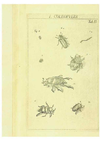 Reproducción/Reproduction 9181703431: Die Kennzeichen der Insekten, nach Anleitung des Königl. schwed. Ritters und Leibarzts Karl Linnaeus, durch XXIV.. Zürich,Heidegger und comp.,1761.