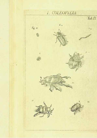 Reproducción/Reproduction 9181703431: Die Kennzeichen der Insekten, nach Anleitung des Königl. schwed. Ritters und Leibarzts Karl Linnaeus, durch XXIV.. Zürich,Heidegger und comp.,1761.