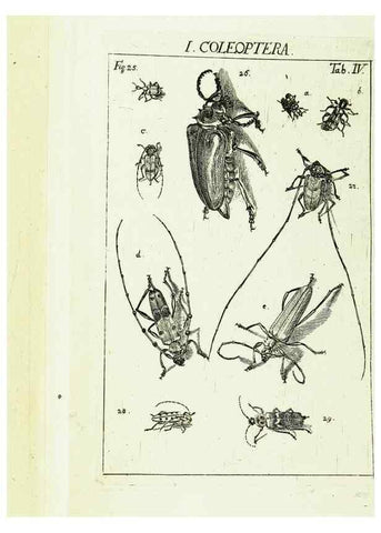 Reproducción/Reproduction 9181705883: Die Kennzeichen der Insekten, nach Anleitung des Königl. schwed. Ritters und Leibarzts Karl Linnaeus, durch XXIV.. Zürich,Heidegger und comp.,1761.