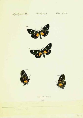 Reproducción/Reproduction 9101654096: Hübner's papilio. S.l. :s.n.,1796-1841