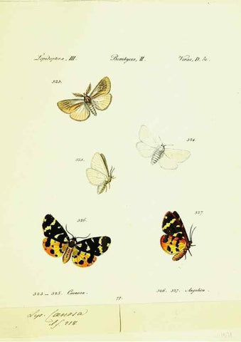 Reproducción/Reproduction 9101655666: Hübner's papilio. S.l. :s.n.,1796-1841