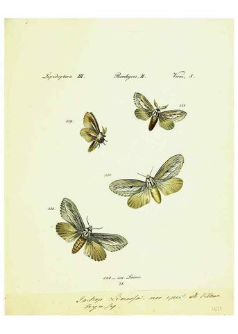 Reproducción/Reproduction 9101657574: Hübner's papilio. S.l. :s.n.,1796-1841