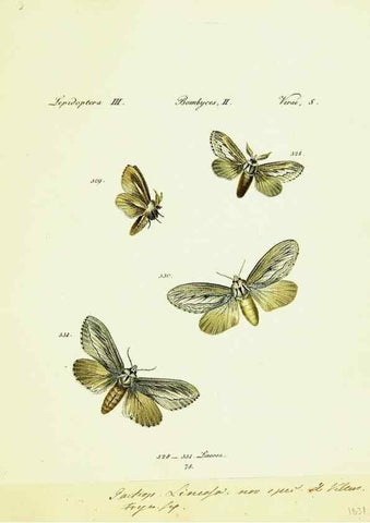 Reproducción/Reproduction 9101657574: Hübner's papilio. S.l. :s.n.,1796-1841
