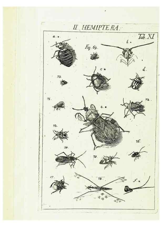 Reproducción/Reproduction 9181715233: Die Kennzeichen der Insekten, nach Anleitung des Königl. schwed. Ritters und Leibarzts Karl Linnaeus, durch XXIV.. Zürich,Heidegger und comp.,1761.