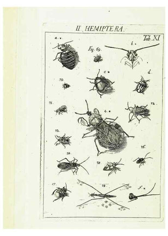 Reproducción/Reproduction 9181715233: Die Kennzeichen der Insekten, nach Anleitung des Königl. schwed. Ritters und Leibarzts Karl Linnaeus, durch XXIV.. Zürich,Heidegger und comp.,1761.