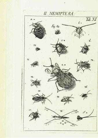 Reproducción/Reproduction 9181715233: Die Kennzeichen der Insekten, nach Anleitung des Königl. schwed. Ritters und Leibarzts Karl Linnaeus, durch XXIV.. Zürich,Heidegger und comp.,1761.