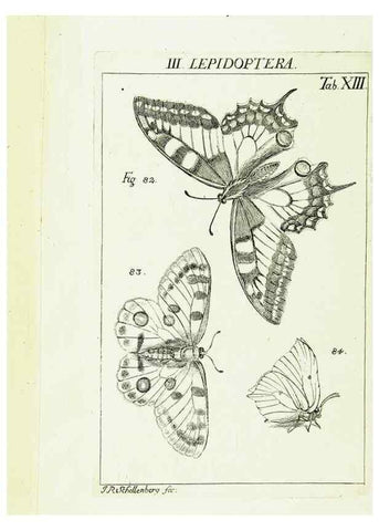 Reproducción/Reproduction 9181718187: Die Kennzeichen der Insekten, nach Anleitung des Königl. schwed. Ritters und Leibarzts Karl Linnaeus, durch XXIV.. Zürich,Heidegger und comp.,1761.