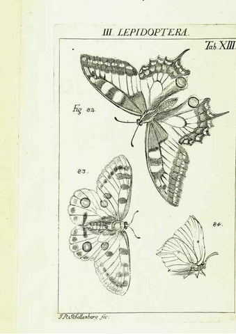 Reproducción/Reproduction 9181718187: Die Kennzeichen der Insekten, nach Anleitung des Königl. schwed. Ritters und Leibarzts Karl Linnaeus, durch XXIV.. Zürich,Heidegger und comp.,1761.