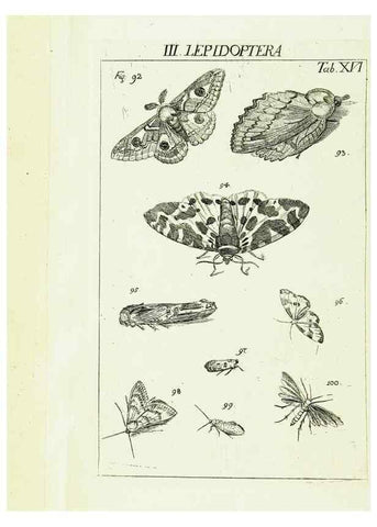 Reproducción/Reproduction 9181723361: Die Kennzeichen der Insekten, nach Anleitung des Königl. schwed. Ritters und Leibarzts Karl Linnaeus, durch XXIV.. Zürich,Heidegger und comp.,1761.