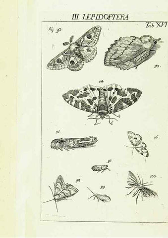 Reproducción/Reproduction 9181723361: Die Kennzeichen der Insekten, nach Anleitung des Königl. schwed. Ritters und Leibarzts Karl Linnaeus, durch XXIV.. Zürich,Heidegger und comp.,1761.