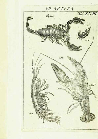 Reproducción/Reproduction 9183946466: Die Kennzeichen der Insekten, nach Anleitung des Königl. schwed. Ritters und Leibarzts Karl Linnaeus, durch XXIV.. Zürich,Heidegger und comp.,1761.