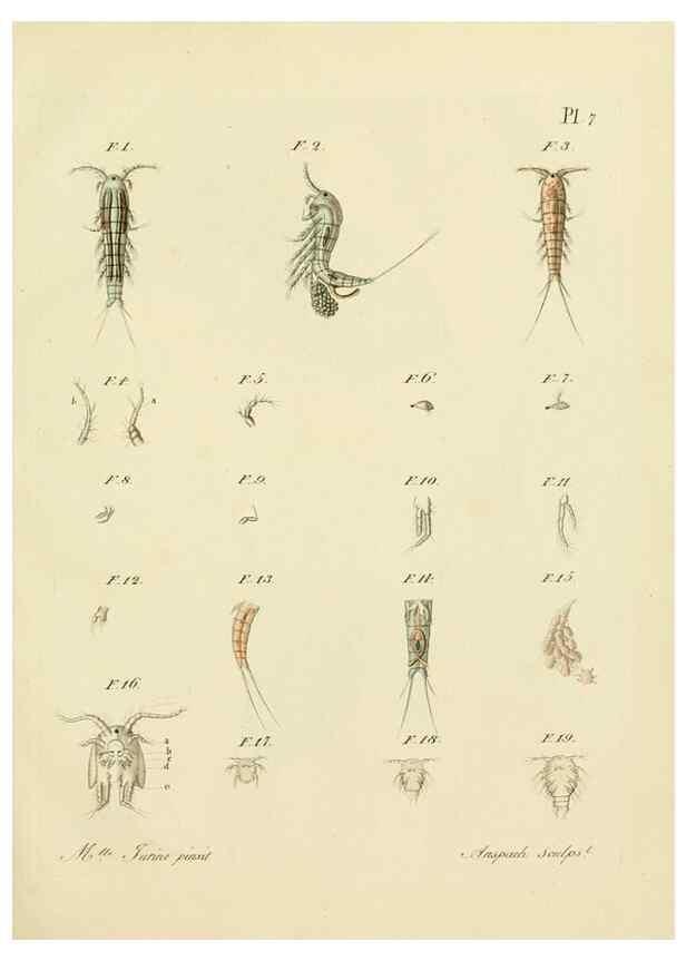 Reproducción/Reproduction 9217319426: Histoire des monocles qui se trouvent aux environs de Genève /. Genève,J.J. Paschoud,1820.