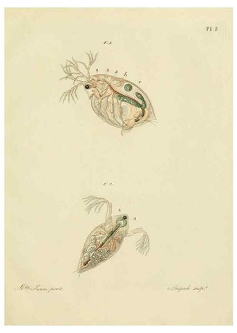 Reproducción/Reproduction 9217320810: Histoire des monocles qui se trouvent aux environs de Genève /. Genève,J.J. Paschoud,1820.