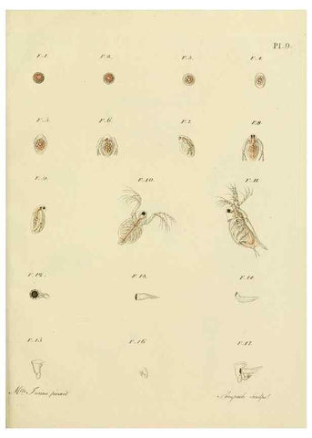 Reproducción/Reproduction 9217322214: Histoire des monocles qui se trouvent aux environs de Genève /. Genève,J.J. Paschoud,1820.