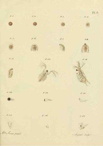 Reproducción/Reproduction 9217322214: Histoire des monocles qui se trouvent aux environs de Genève /. Genève,J.J. Paschoud,1820.