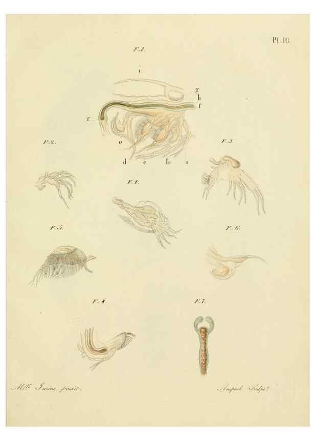 Reproducción/Reproduction 9217323238: Histoire des monocles qui se trouvent aux environs de Genève /. Genève,J.J. Paschoud,1820.