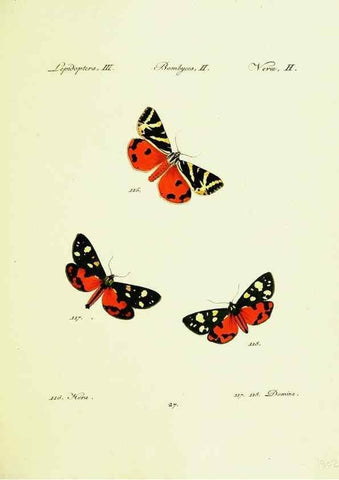 Reproducción/Reproduction 9099353861: Hübner's papilio. S.l. :s.n.,1796-1841