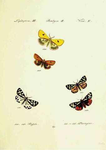 Reproducción/Reproduction 9099356401: Hübner's papilio. S.l. :s.n.,1796-1841
